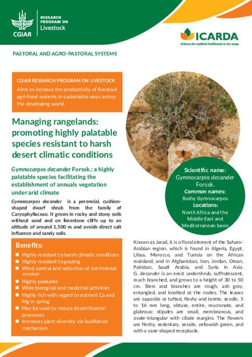 Managing rangelands: promoting highly palatable species resistant to harsh desert climatic conditions; Gymnocarpos decander Forssk.: a highly palatable species facilitating the establishment of annuals vegetation under arid climate