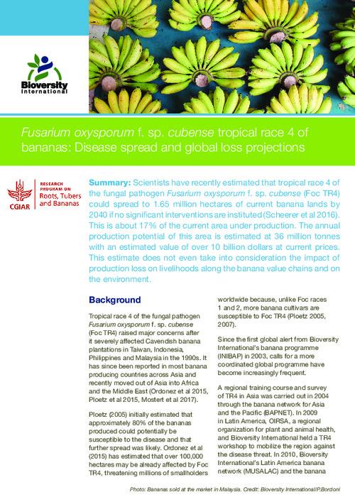 Fusarium oxysporum f. sp. cubense tropical race 4 of bananas: Disease spread and global loss projections