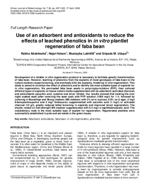 Use of an adsorbent and antioxidants to reduce the effects of leached phenolics in in vitro plantlet regeneration of faba bean