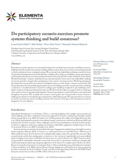 Do participatory scenario exercises promote systems thinking and build consensus?