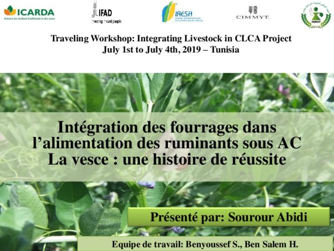 Intégration des fourrages dans l'alimentation des ruminants sous AC: La vesce, une histoire de réussite