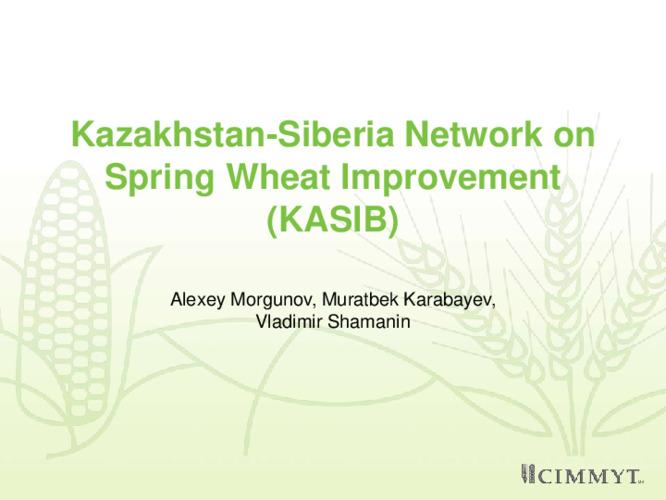 Kazakhstan-Siberia Network on Spring Wheat Improvement (KASIB)