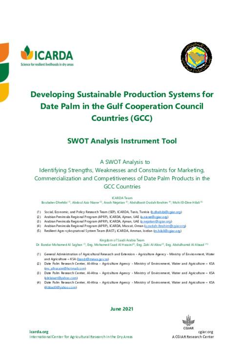 SWOT Analysis Instrument Tool