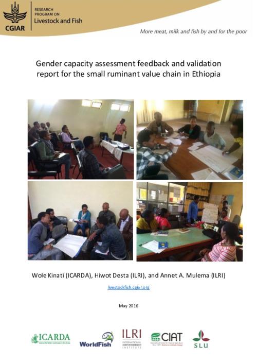 Gender capacity assessment feedback and validation report for the small ruminant value chain in Ethiopia