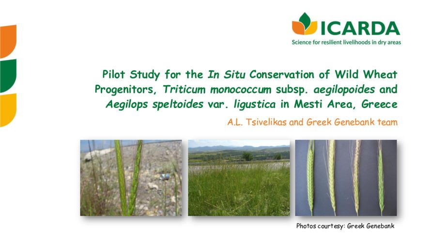 Pilot Study for the In Situ Conservation of Wild Wheat Progenitors, Triticum monococcum subsp. aegilopoides and Aegilops speltoides var. ligustica in Mesti Area, Greece