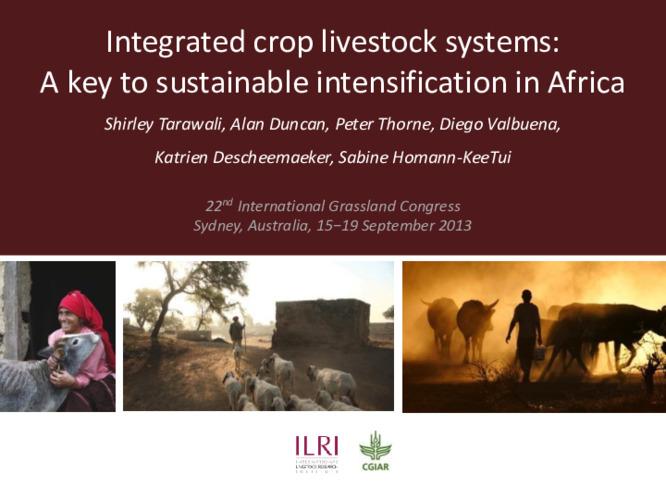 Integrated crop livestock systems: A key to sustainable intensification in Africa
