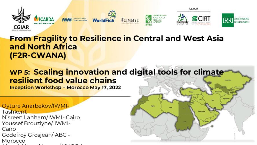 WP 5: Scaling innovation and digital tools for climate resilient food value chains