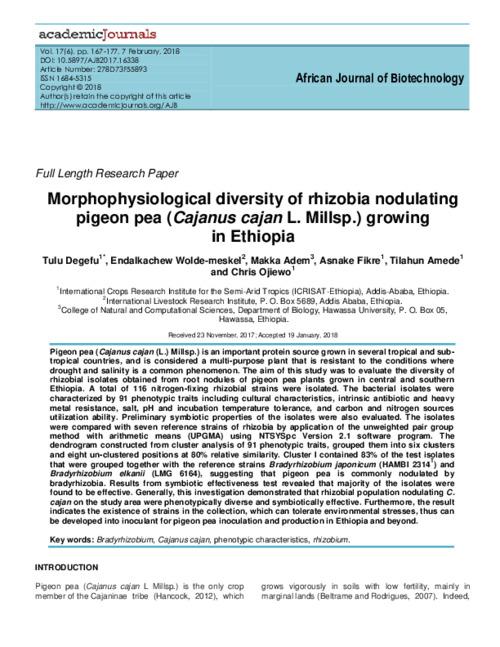 Morphophysiological diversity of rhizobia nodulating pigeon pea (Cajanus cajan L. Mill) growing in Ethiopia