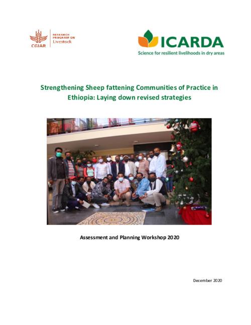 Strengthening Sheep fattening Communities of Practice in Ethiopia: Laying down revised strategies