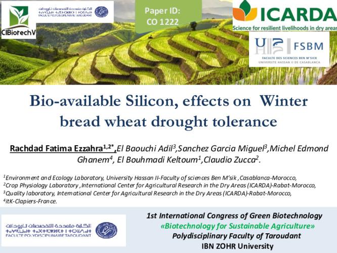 Bio-available Silicon, effects on Winter bread wheat drought tolerance