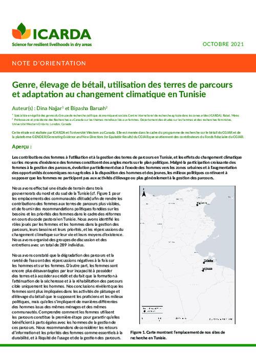 Genre, élevage de bétail, utilisation des terres de parcours et adaptation au changement climatique en Tunisie