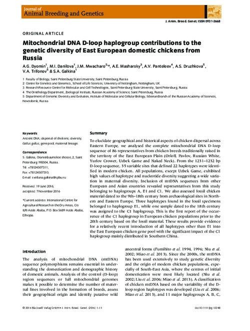 Mitochondrial DNA D-loop haplogroup contributions to the genetic diversity of East European domestic chickens from Russia