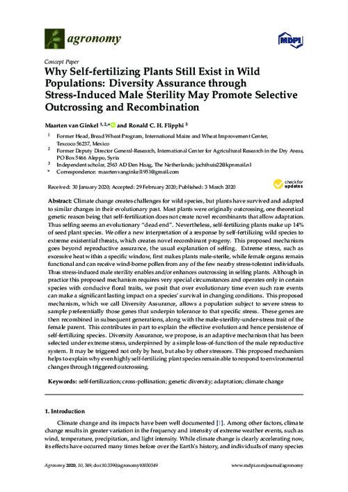 Why Self-fertilizing Plants Still Exist in Wild Populations: Diversity Assurance through Stress-Induced Male Sterility May Promote Selective Outcrossing and Recombination