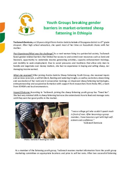 Youth Groups breaking gender barriers in market-oriented sheep fattening in Ethiopia