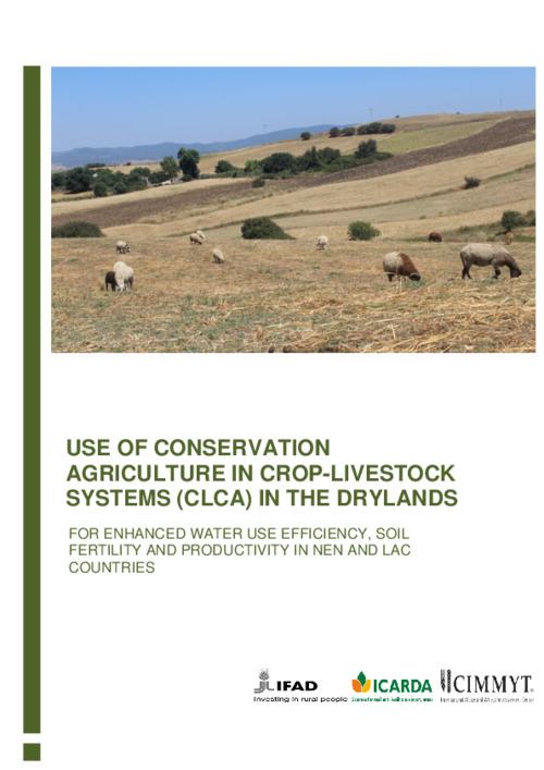 Use of Conservation Agriculture in Crop-Livestock Systems (CLCA) in the Drylands for Enhanced Water Use Efficiency, Soil Fertility and Productivity in NEN and LAC Countries – Project Progress Report: Year I - April 2018 to March 2019