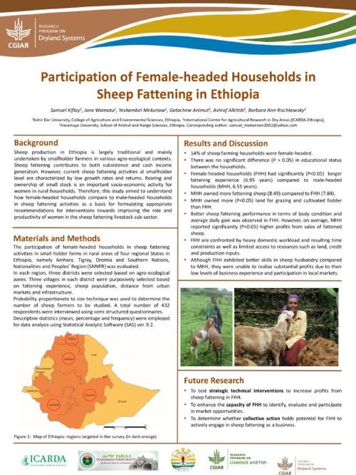 Participation of Female-headed Households in Sheep Fattening in Ethiopia