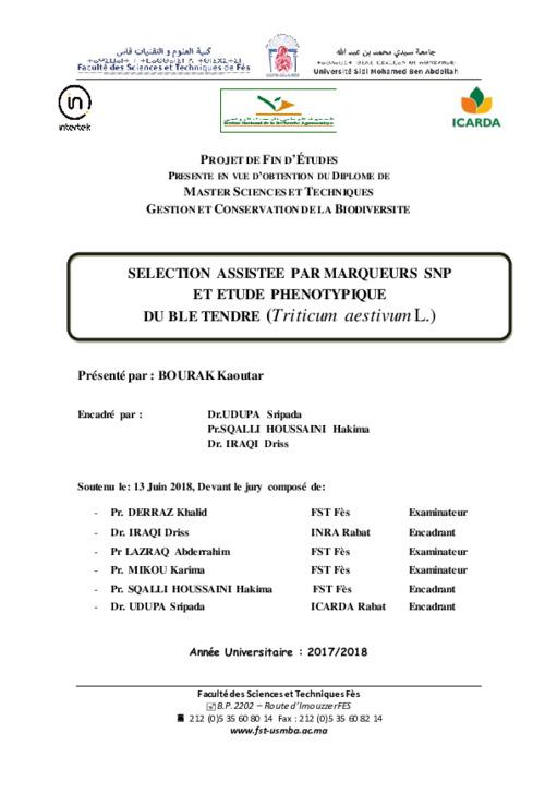 Selection Assistee Par Marqueurs Snp Et Etude Phenotypique Du Ble Tendre (Triticum Aestivum L.)