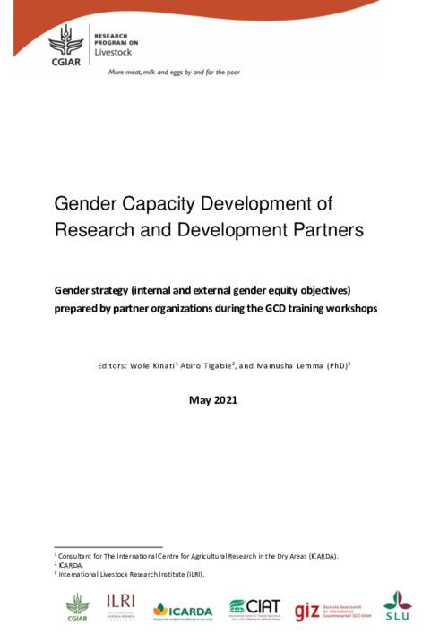 Gender Capacity Development of Research and Development Partners: Gender strategy (internal and external gender equity objectives) prepared by partner organizations during the GCD training workshops