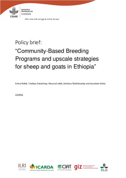 Community-Based Breeding Programs and upscale strategies for sheep and goats in Ethiopia