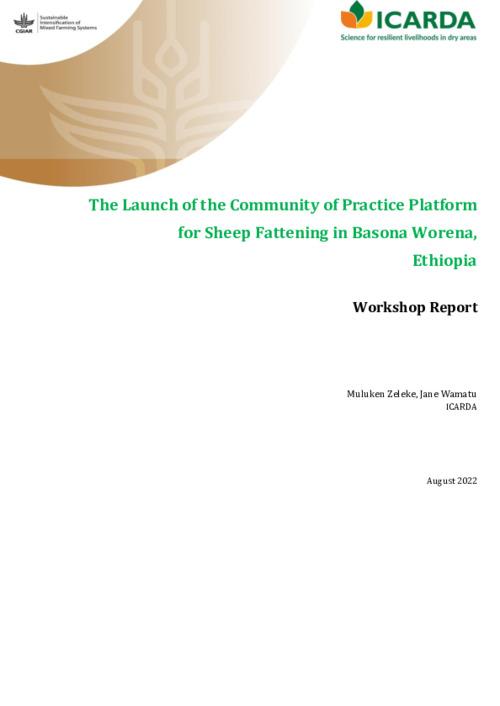 The Launch of the Sheep Fattening Community of Practice (CoP) in North Shewa