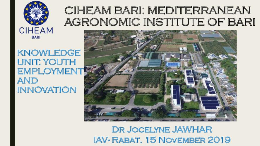 CIHEAM Bari Knowledge Unit: Youth Employment and Innovation