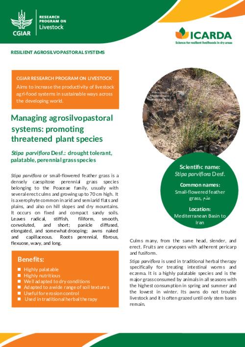Managing agrosilvopastoral systems: promoting threatened plant species Stipa parviflora Desf.: drought tolerant, palatable, perennial grass species