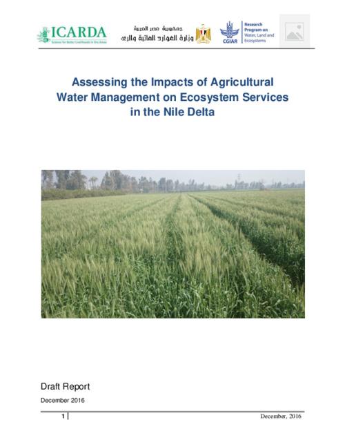 Assessing the Impacts of Agricultural Water Management on Ecosystem Services in the Nile Delta