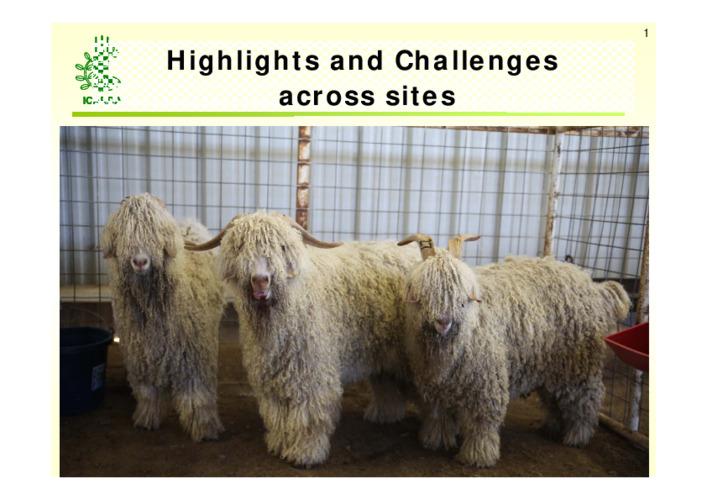 Improving Livelihoods of Smallholders and Rural Women through Value-Added Processing and Export of Cashmere, Wool and Mohair Project: Highlights and Challenges across sites