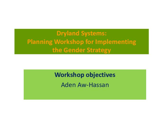 Dryland Systems: Planning Workshop for Implementing the Gender Strategy