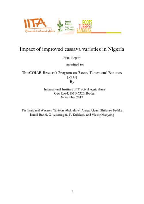 Impact of improved cassava varieties in Nigeria