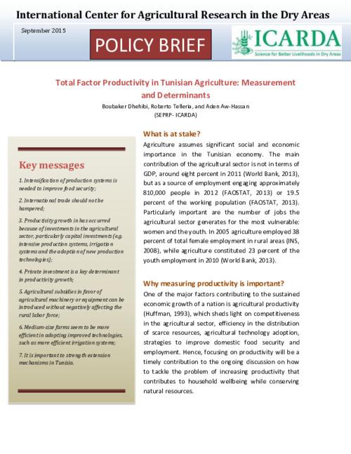 Total Factor Productivity in Tunisian Agriculture: Measurement and Determinants