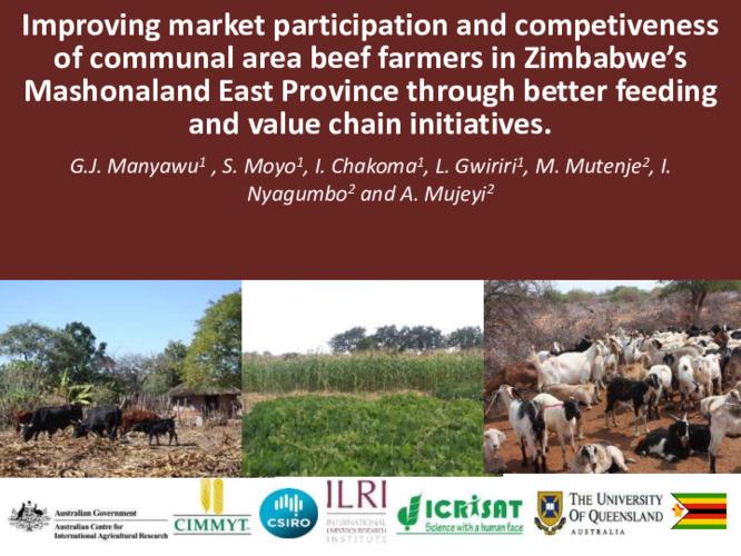 Improving market participation and competiveness of communal area beef farmers in Zimbabwe’s Mashonaland East Province through better feeding and value chain initiatives