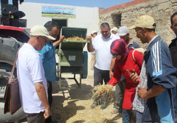 Small-scale feed grinder to improve the quality of roughage feed in Chouarnia CLCA Site, Seliana North West Tunisia