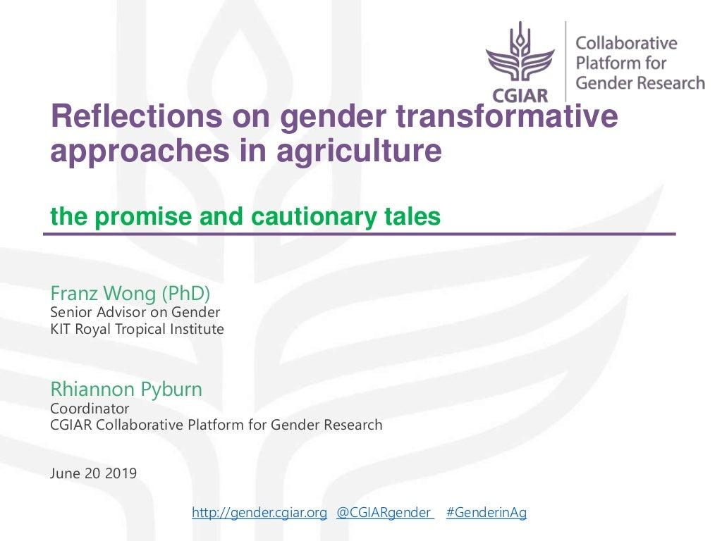 Reflections on gender transformative approaches in agriculture – The promise and cautionary tales