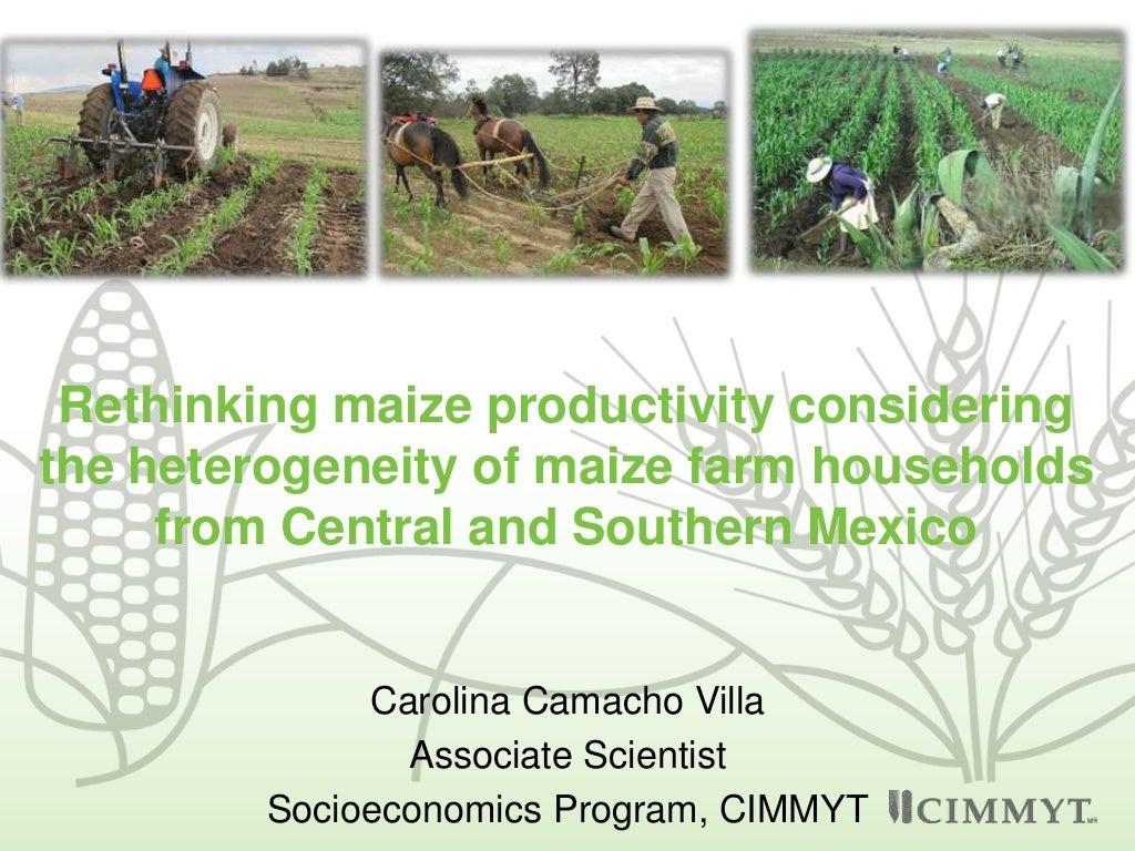 Rethinking maize productivity considering the heterogeneity of maize farm households from Central and Southern Mexico