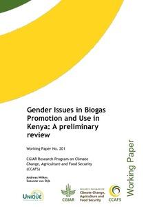 Gender Issues in Biogas Promotion and Use in Kenya: A preliminary review