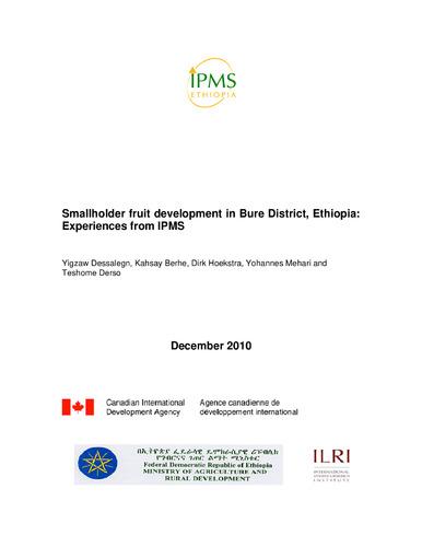 Smallholder fruit development in Bure District, Ethiopia: Experiences from IPMS