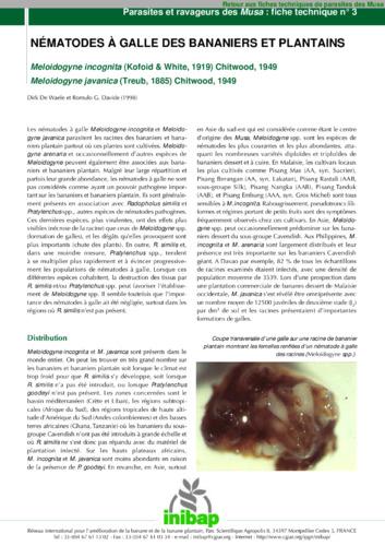 The root-knot nematodes of banana: Meloidogyne incognita (Kofoid & White, 1919) Chitwood, 1949 (and) Meloidogyne javanica (Treub, 1885) Chitwood, 1949