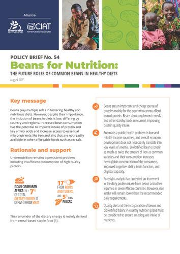 Beans for nutrition: The future roles of common beans in healthy diets