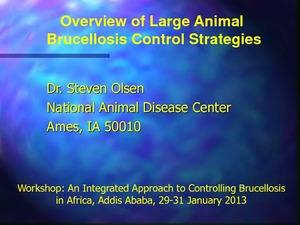 Overview of large animal brucellosis control strategies
