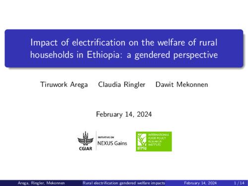 Impact of electrification on the welfare of rural households in Ethiopia: A gendered perspective