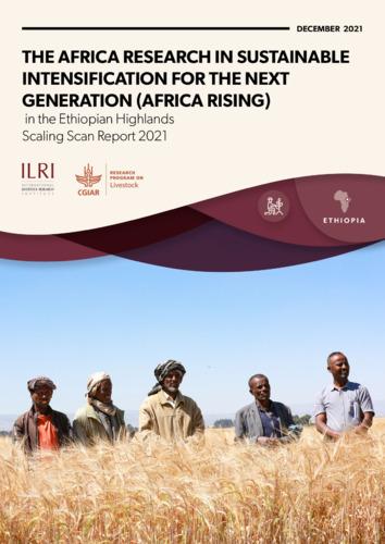 The Africa Research in Sustainable Intensification for the Next Generation (Africa RISING) in the Ethiopian highlands: Scaling scan report