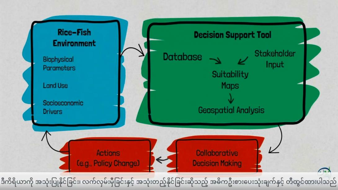 Scaling rice fish systems: decision support tools for tailoring and targeting investments