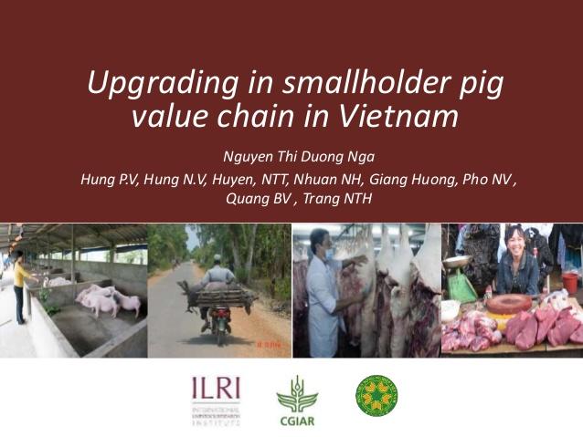 Upgrading in smallholder pig value chain in Vietnam