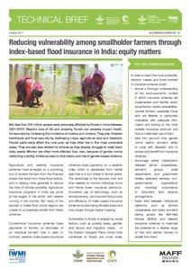 Reducing vulnerability among smallholder farmers through index-based flood insurance in India: equity matters