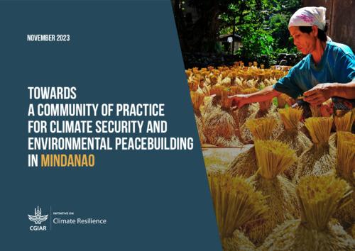 Towards a community of practice for climate security and environmental peace building in Mindanao: Workshop memory report
