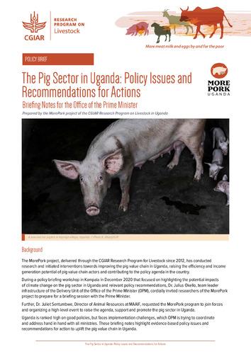 The pig sector in Uganda: Policy issues and recommendations for actions
