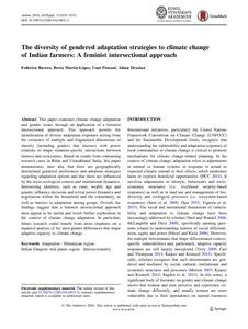 The diversity of gendered adaptation strategies to climate change of Indian farmers: a feminist intersectional approach