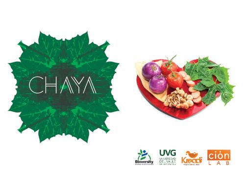 Chaya: La Cocina como herramienta de desarollo