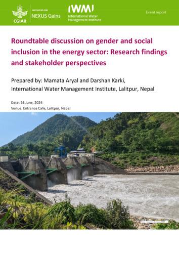 Roundtable discussion on gender and social inclusion in the energy sector: research findings and stakeholder perspectives